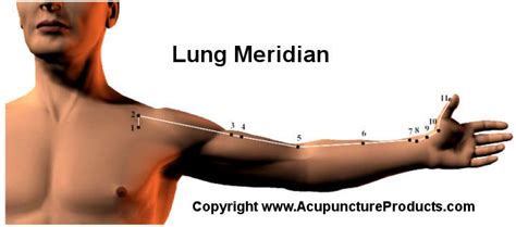 Lung Meridian Pathway and Acupuncture Point Locations. | Body ...