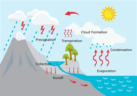 Water Cycle Illustration - Download Free Vector Art, Stock Graphics ...