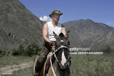 181 Vladimir Putin Horse Stock Photos, High-Res Pictures, and Images - Getty Images