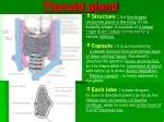 PPT - Thyroid gland PowerPoint Presentation, free download - ID:2967520