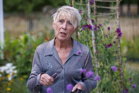 Gardeners' World's Carol Klein slams show's 'lack of diversity' after being snubbed for top job ...