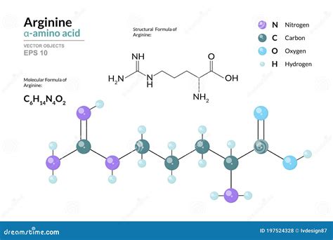 Arginine Arg C6H14N4O2 Acide ? -aminé Modèle Structurel De Formule ...