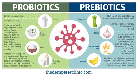 Prebiotics vs Probiotics | Prebiotics and probiotics, Prebiotics ...