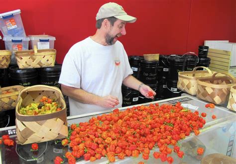 From pot to hot: How a grower produced world's most fiery chile pepper - Los Angeles Times