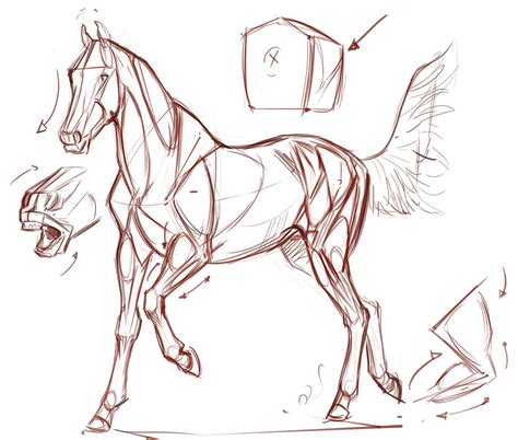 Horse Drawing Reference and Sketches for Artists