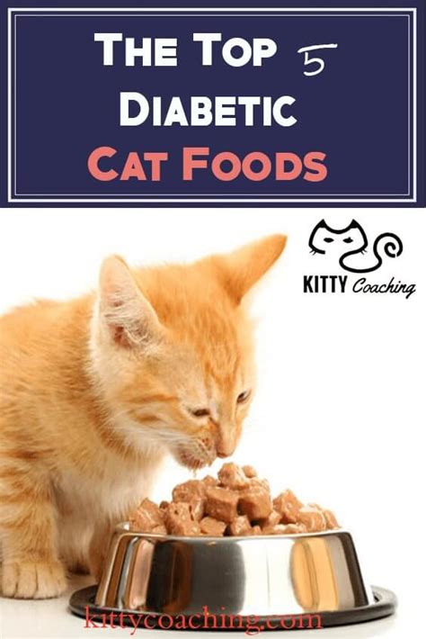 Diabetic Cat Food Reviewed - Our Top 5 Picks (2018)