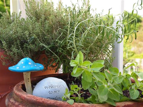 Container Herb Garden - A Cultivated Nest