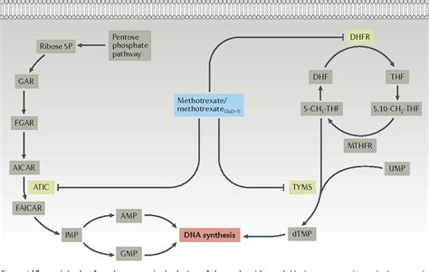 Healthline: How to Know if Methotrexate Is Working for Rheumatoid Arthritis