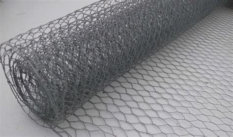 Chicken Wire Mesh at Rs 120/roll | Poultry Weld Mesh, Poultry Wire Mesh ...