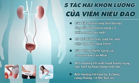 Viêm niệu đạo nam giới : Nguyên nhân, triệu chứng và cách điều trị hiệu quả