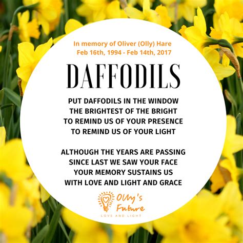 Daffodils - A poem for Oliver (Olly) Hare, written by Ann Feloy and performed in a spoken verse ...