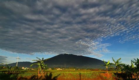 4 Jalur Pendakian Gunung Salak, Jalur Mana Yang Sudah Kamu Lewati? - Gunung