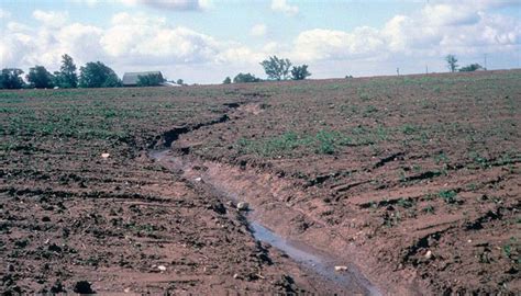 Conservation compliance change requires treating gully erosion on highly erodible land