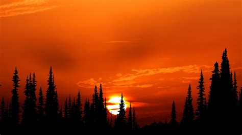 1920x1080 Relaxing Orange Sunset Evening 4k Laptop Full HD 1080P ,HD 4k Wallpapers,Images ...