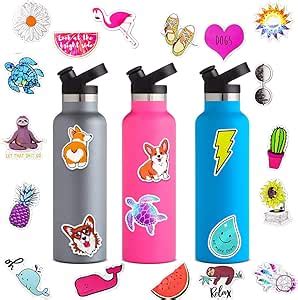 Amazon.com: Water Bottle Stickers, Vsco for Hydro Flask Stickers ...