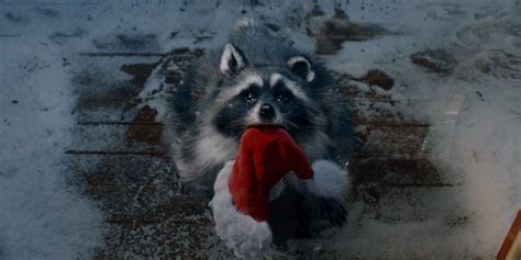 Watch now: Lidl’s Christmas advert tells heartwarming raccoon tale