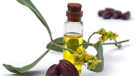 Jojoba Oil for Hair Growth | Benefits & How to Use Guide