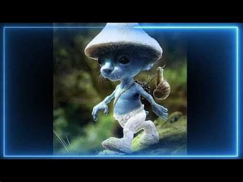 [E.D.T.M] smurf cat - Alan Walker - YouTube