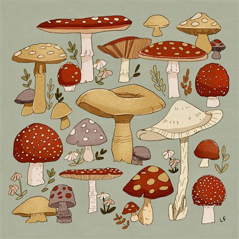 Libby on Twitter | Mushroom art, Mushroom drawing, Cute art