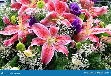 Lily Flowers Bouquet Royalty Free Stock Photography - Image: 12774047