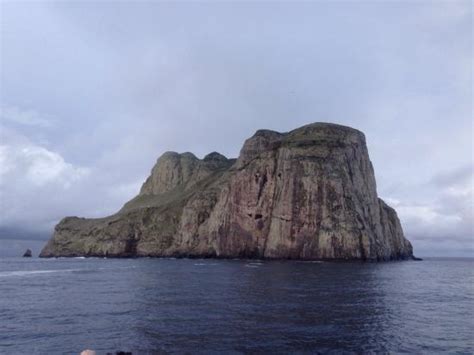 Malpelo Fauna and Flora Sanctuary (Malpelo Island) - All You Need to ...