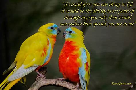 Love Birds Quotes | KnowQuotes.com