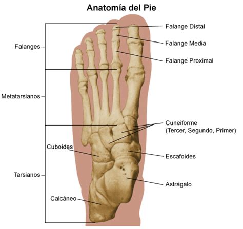 Hausaufgaben machen Besser Weinen dolor en las articulaciones de los dedos Trauer Indirekt ...