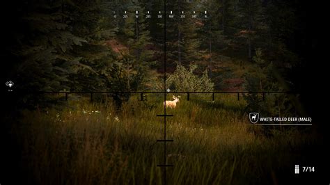 Hunting Simulator 2 | wingamestore.com