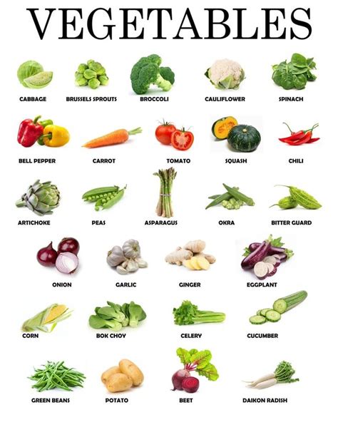 Instant Download Printable Vegetables Educational Posters - Etsy | Vegetable chart, Nutrition ...