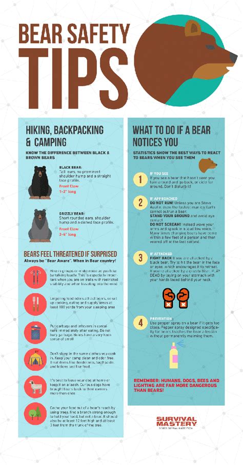 Survival Smarts: Bear Safety Tips [Infographic]