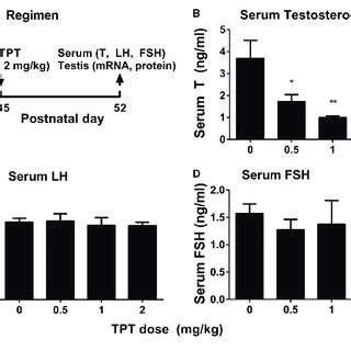 | Regimen of TPT and serum testosterone, LH, and FSH levels after TPT... | Download Scientific ...