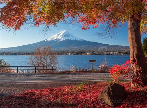 Mt. Fuji and autumn foliage at Lake Kawaguchi. 1406801 Stock Photo at Vecteezy