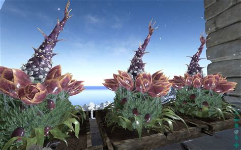 Plant Species X - ARK: Survival Evolved Wiki