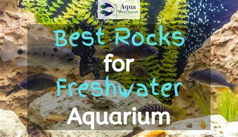 9 Best Safe Rocks For Freshwater Aquarium | Aqua Movement