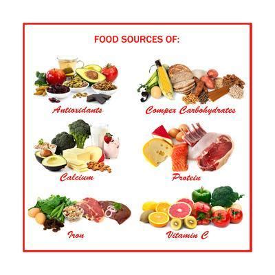 'Chart Showing Food Sources of Various Nutrients' Posters - Robyn ...