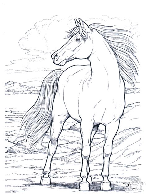 Free Printable Horse Coloring Pages For Kids