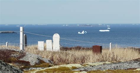 Bonavista North Museum & Gallery: Icebergs