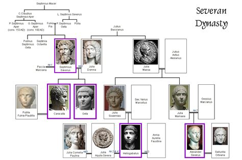 Severan dynasty family tree - Wikipedia