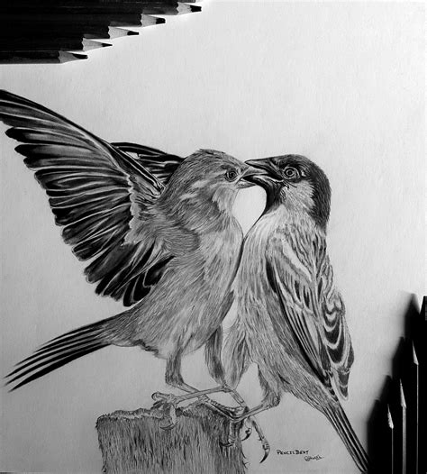 Flying Bird Pencil Drawing