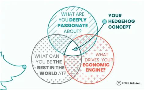 What is the Hedgehog Concept? - Peter Boolkah