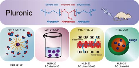 Molecules | Free Full-Text | Polymeric Drug Delivery System Based on ...