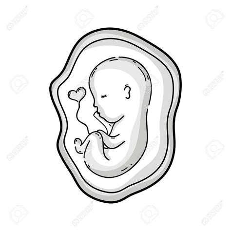 Baby In Womb Drawing at GetDrawings | Free download