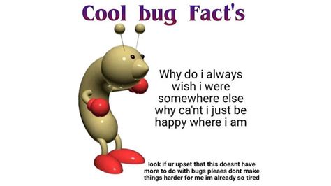 Cool Bug Fact's | Know Your Meme