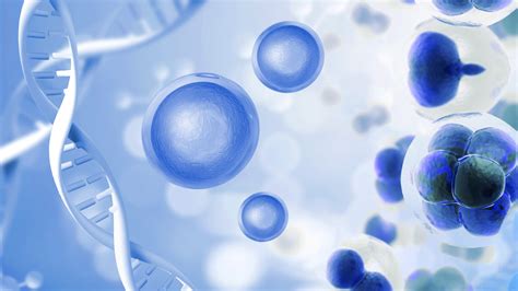 3 clinical application cases of stem cell anti-aging - Medical News