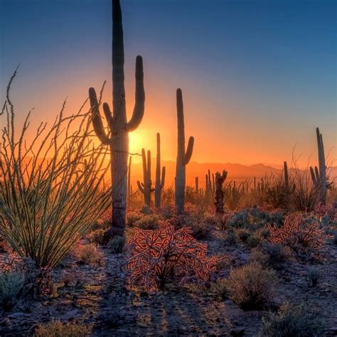 Best Attractions in Tucson, AZ - Things to do in my city