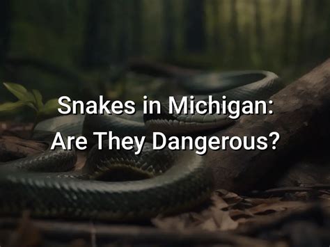 Snakes in Michigan: Are They Dangerous? - Hikers Daily