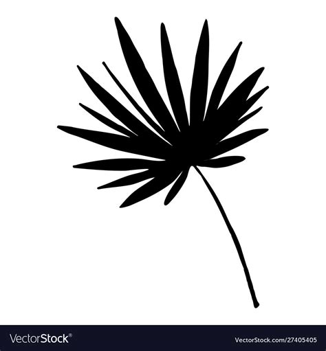 Palm leaf silhouette Royalty Free Vector Image