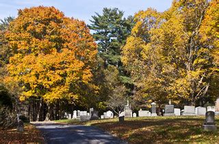 Mt Hope Cemetery trees | liz west | Flickr