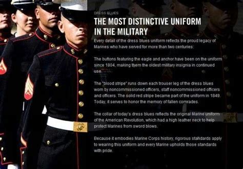 What Does Semper Fi Mean In The Marines