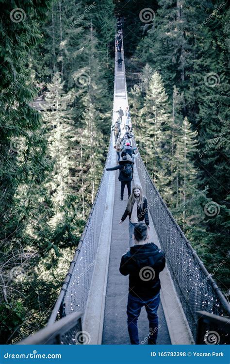 View of Capilano Suspension Bridge Park in North Vancouver at Winter ...